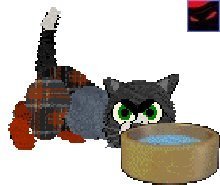 1catz3.jpg (9080 bytes)