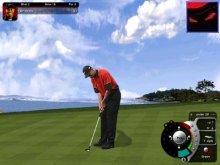 1tg99.jpg (9464 bytes)