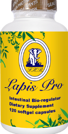 LAPIS PRO